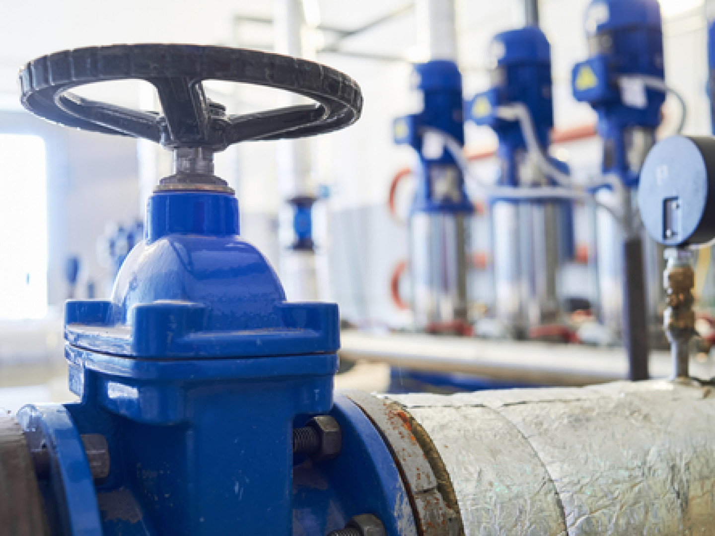 Check Valves, Needle Valves Scott, Lafayette & Baton Rouge, LA